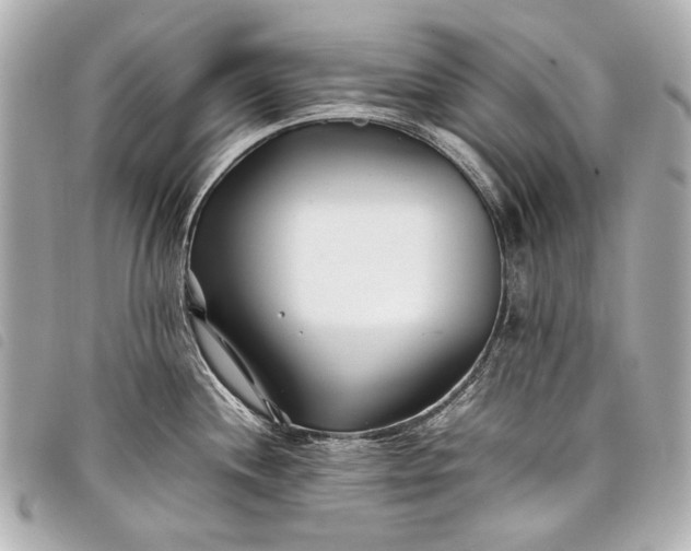 X0000098081244200804181151