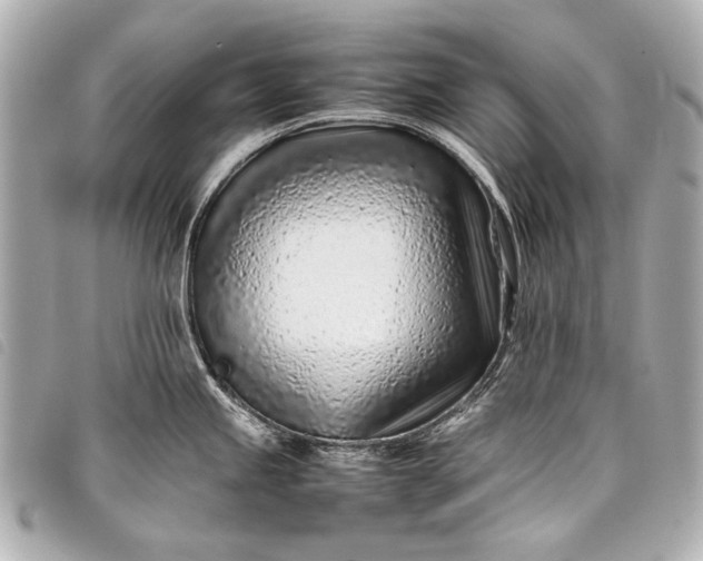 X0000098081245200804181151