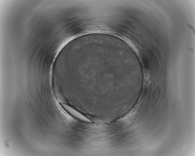 X0000098081246200804181151