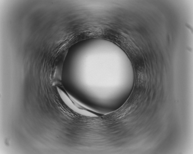 X0000098081250200804181150