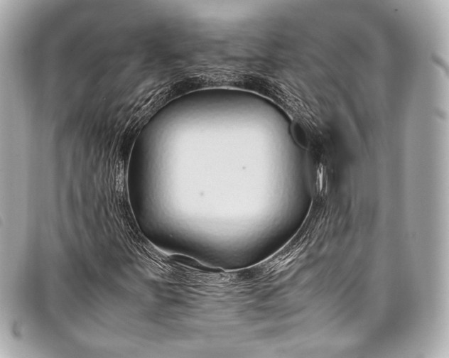 X0000098081251200804181150