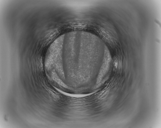 X0000098081252200804181150