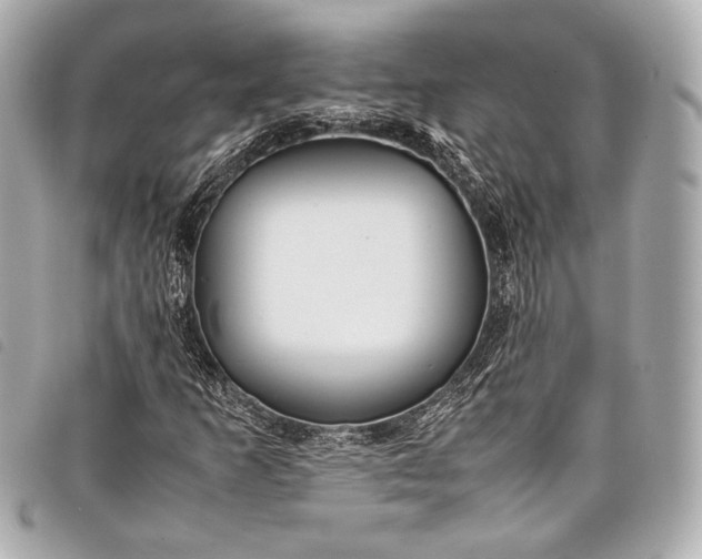 X0000098081253200804181150