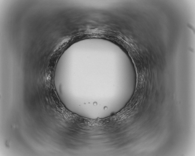 X0000098081254200804181150