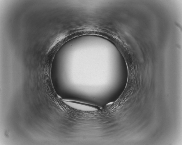 X0000098081255200804181150