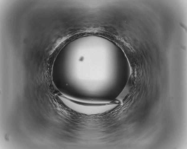 X0000098081256200804181150