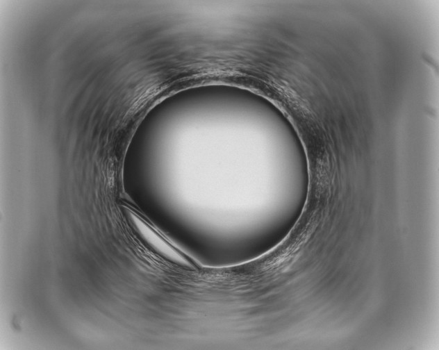 X0000098081257200804181150