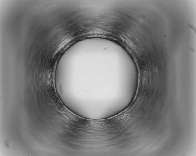 X0000098081258200804181150