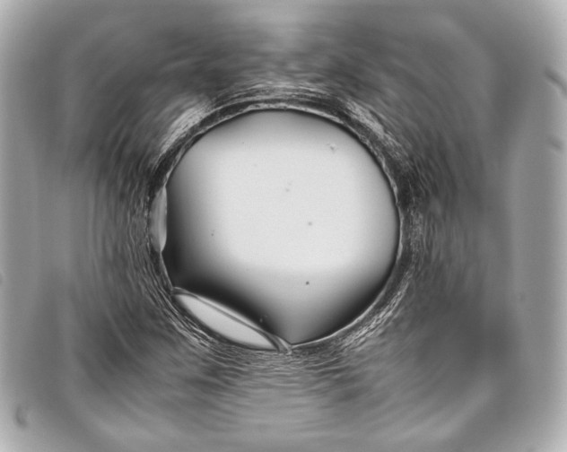 X0000098081259200804181150