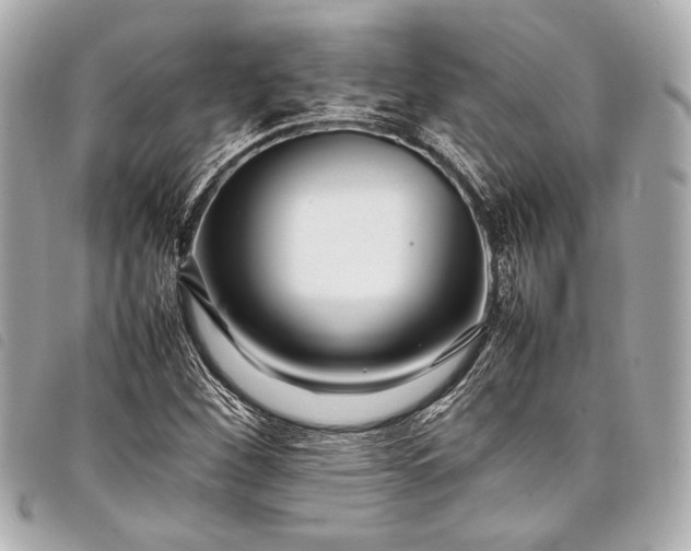 X0000098081260200804181150