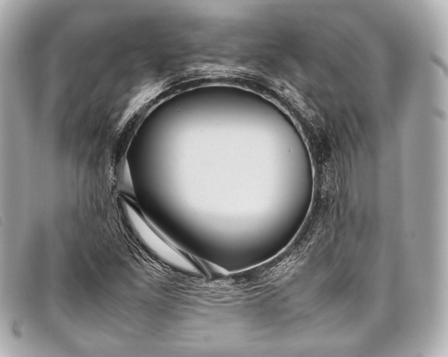 X0000098081261200804181150