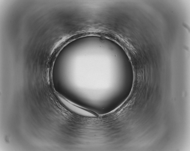 X0000098081262200804181150