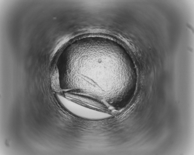 X0000098081263200804181150