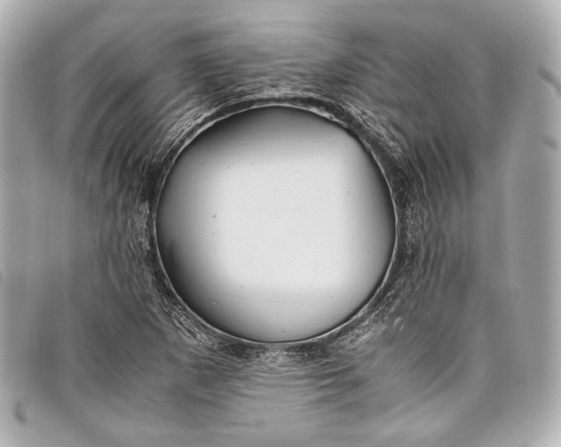 X0000098081265200804181150