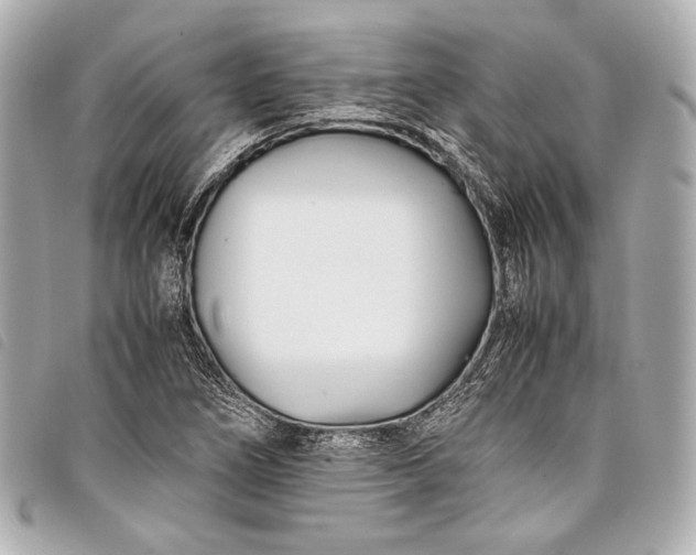 X0000098081266200804181150