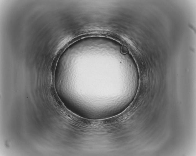 X0000098081267200804181150