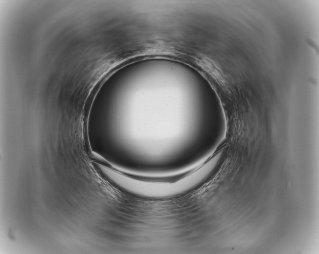 X0000098081268200804181150