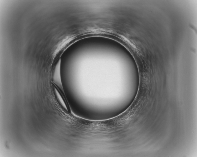 X0000098081269200804181150