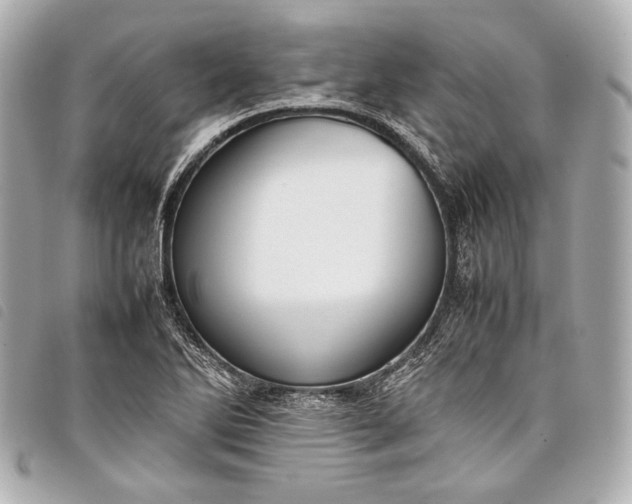 X0000098081270200804181150