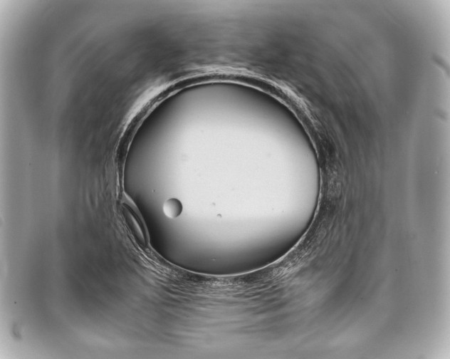 X0000098081271200804181150