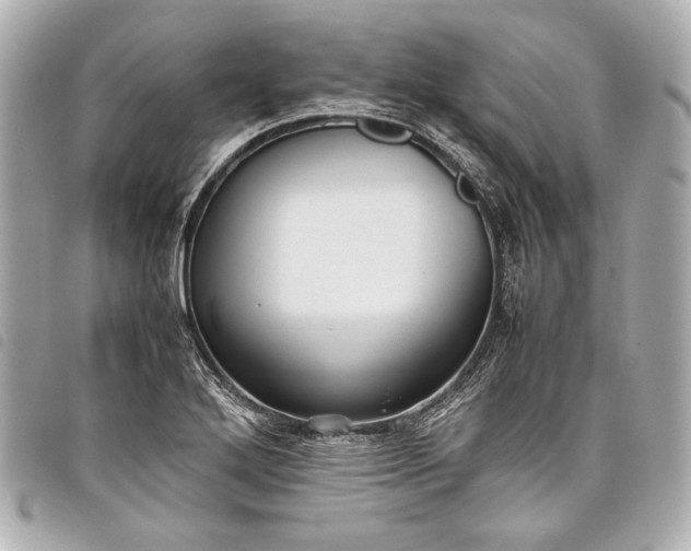 X0000098081272200804181150