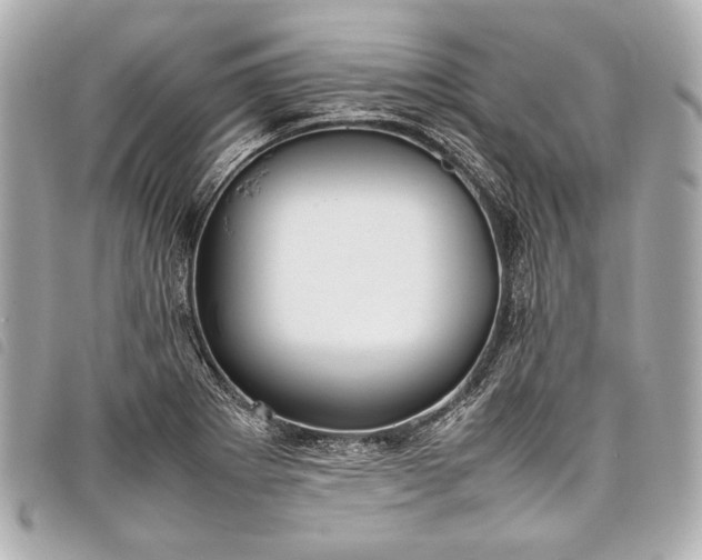 X0000098081273200804181149