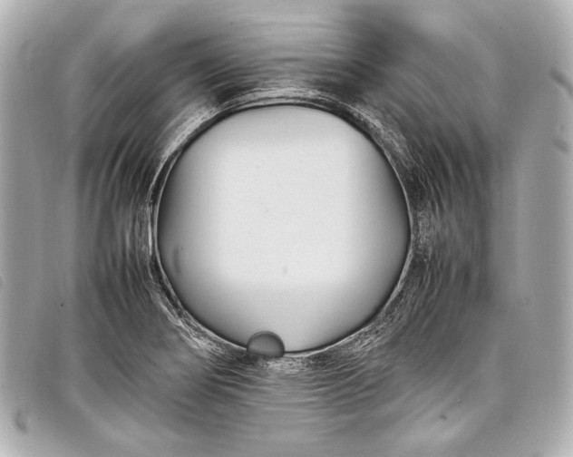 X0000098081274200804181149