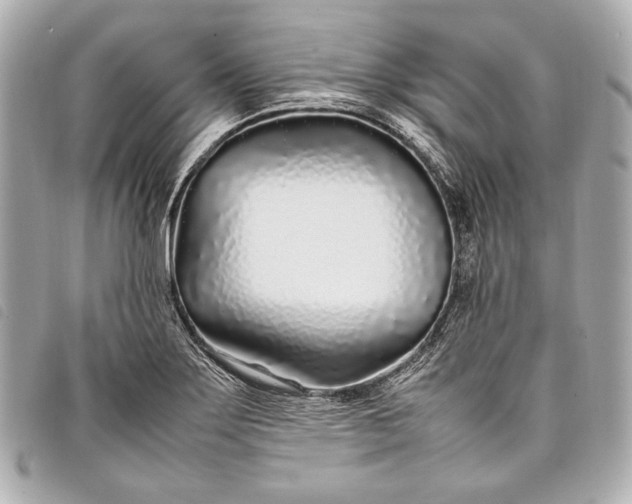 X0000098081275200804181149