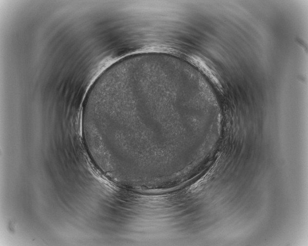 X0000098081276200804181149