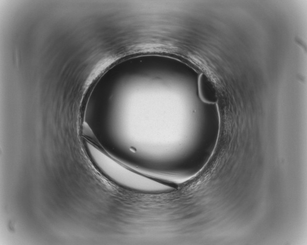 X0000098081277200804181149