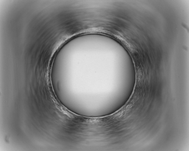 X0000098081278200804181149