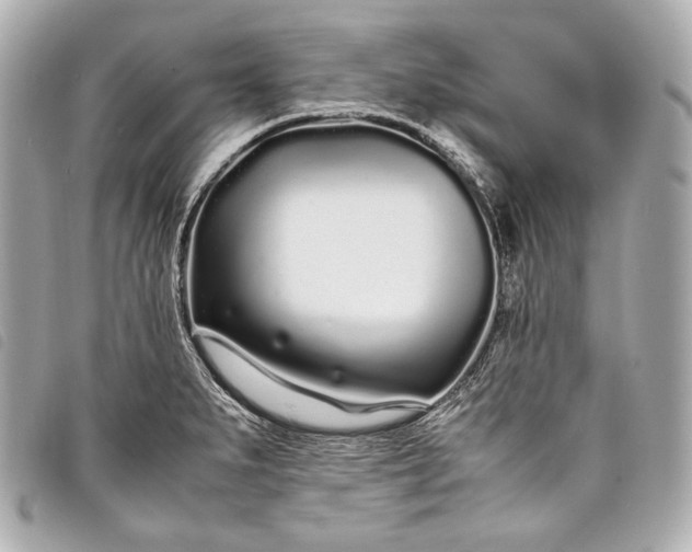 X0000098081279200804181149