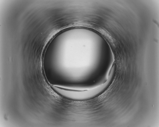 X0000098081280200804181149