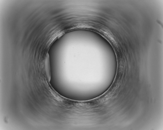 X0000098081281200804181149