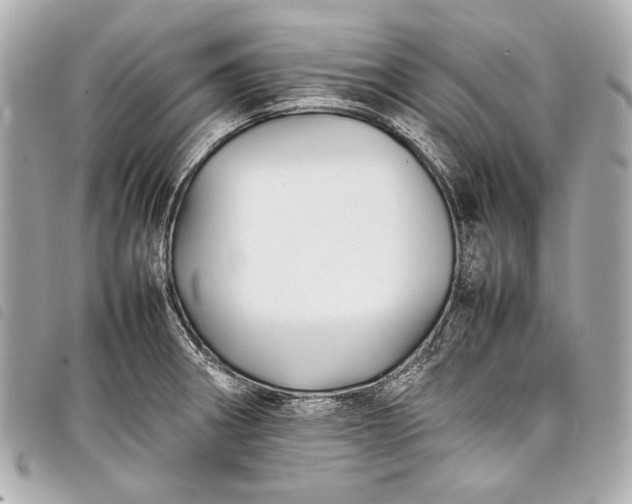 X0000098081282200804181149