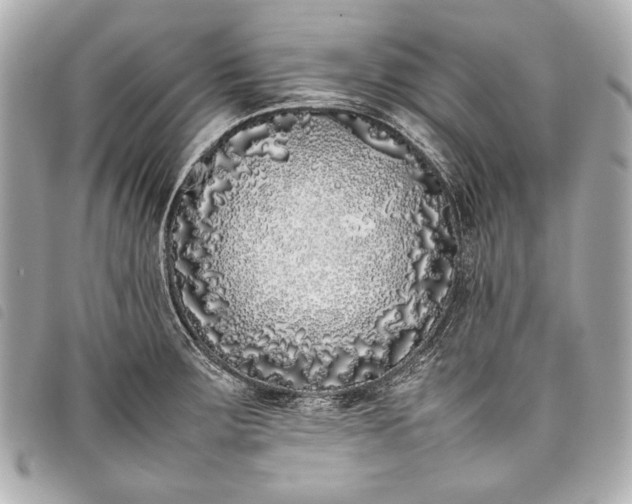 X0000098081283200804181149