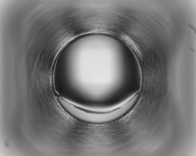 X0000098081284200804181149