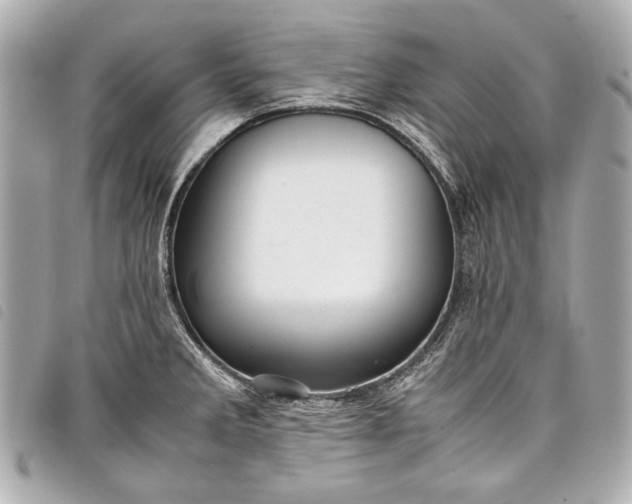 X0000098081285200804181149