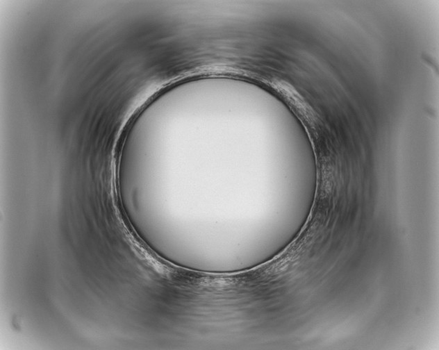 X0000098081286200804181149