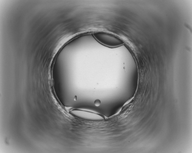 X0000098081287200804181149