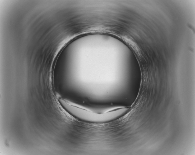 X0000098081288200804181149