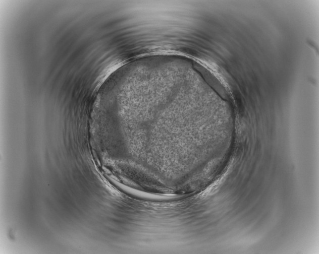 X0000098081289200804181149