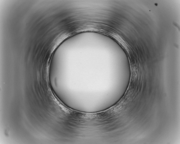 X0000098081290200804181149