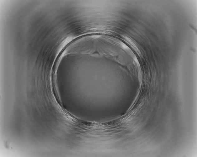 X0000098081291200804181149