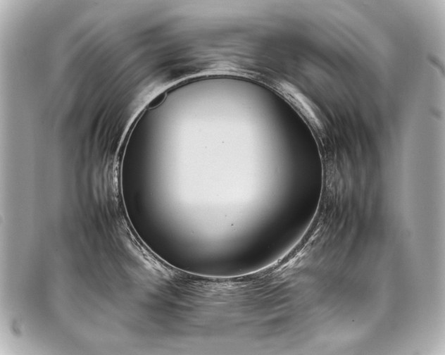 X0000098081292200804181149