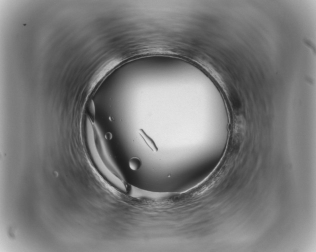 X0000098081293200804181149