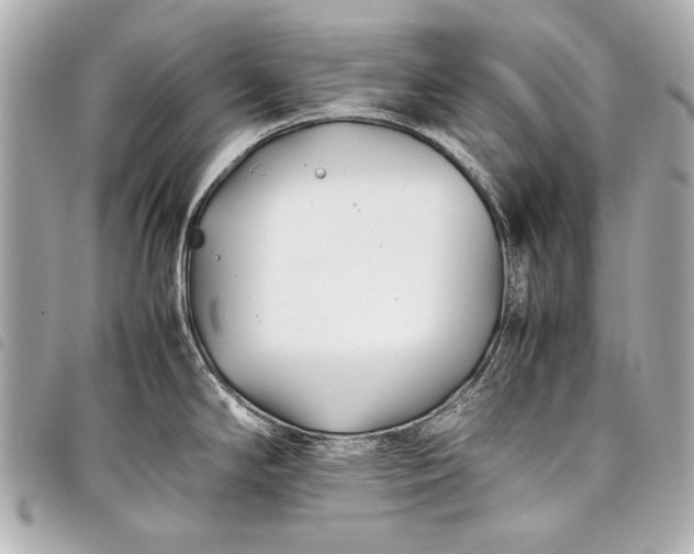 X0000098081294200804181149