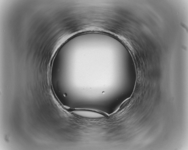 X0000098081295200804181149