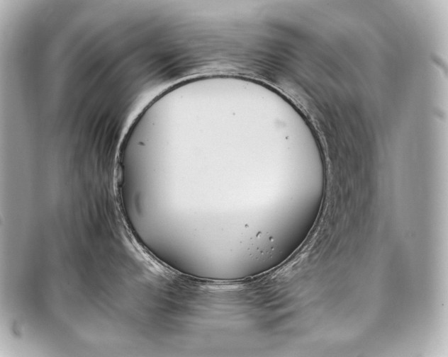 X0000098081296200804181149