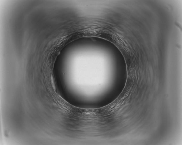 X0000098081297200804181148